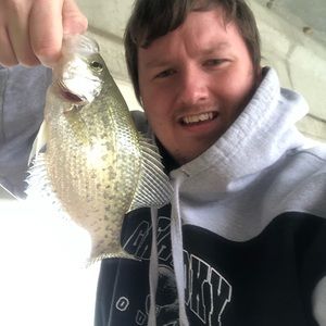 Meet your Posher, Jesse